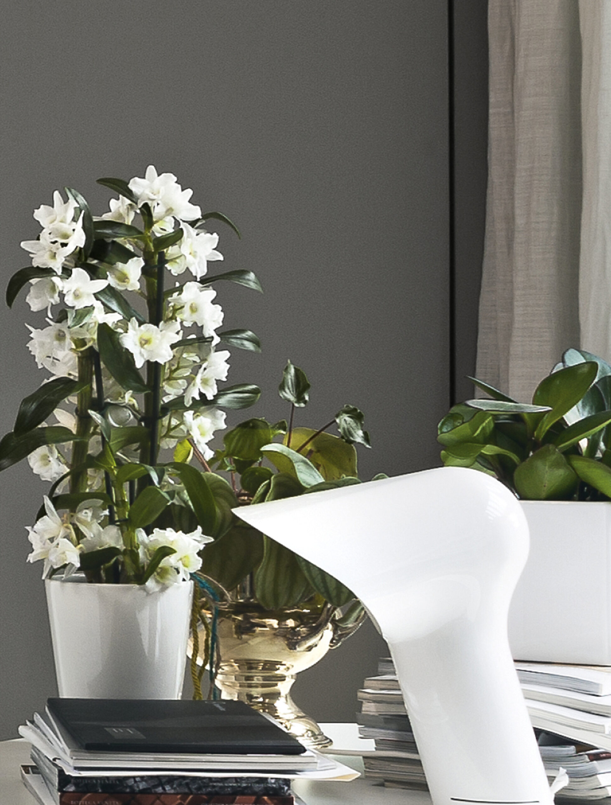 Flexteam - Schlafsofa Step Day Bed – Bild 2