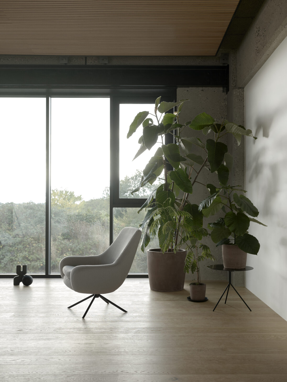Softline - Sessel Noomi – Bild 3